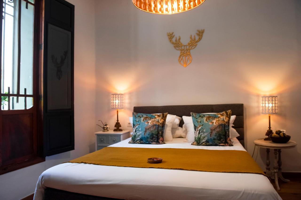 Bed and Breakfast Casa Con Destino-Adults Only Jalón Zewnętrze zdjęcie